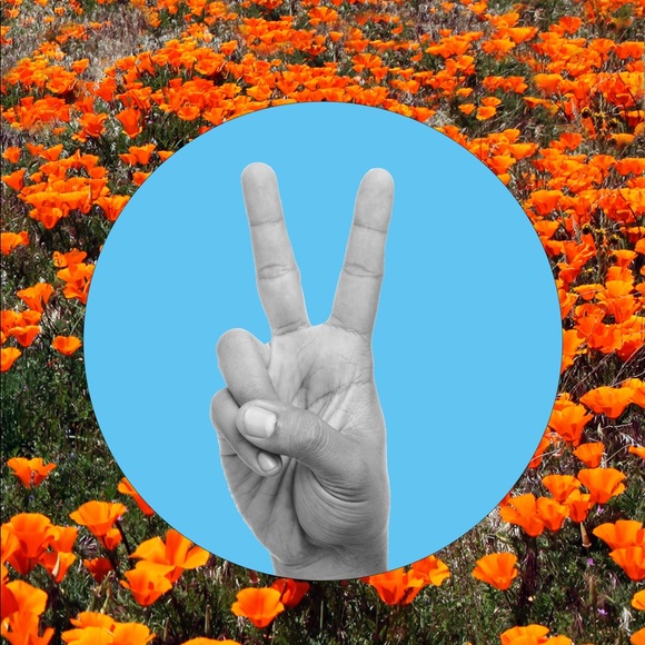 Meet your Posher, Madison - Picture 1 of 1